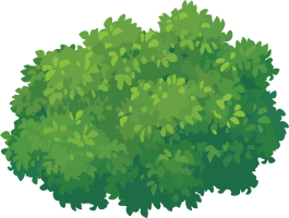 Small bush